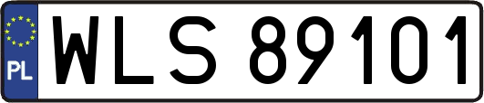 WLS89101