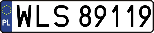 WLS89119