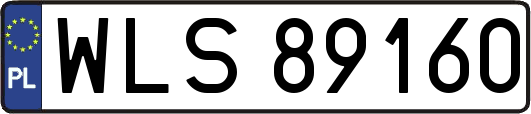 WLS89160