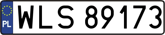 WLS89173