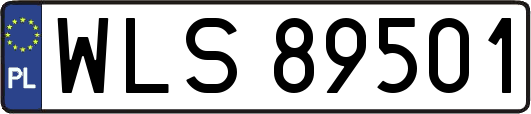 WLS89501