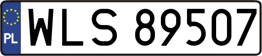 WLS89507