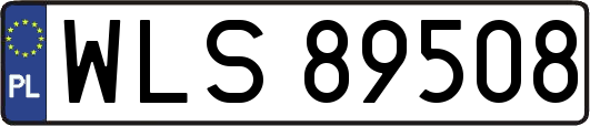 WLS89508