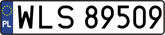 WLS89509