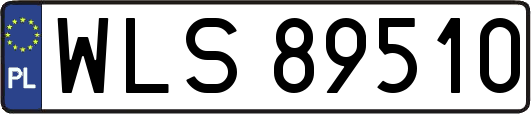 WLS89510