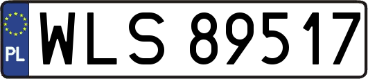 WLS89517