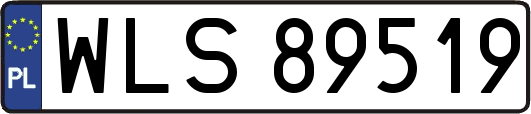 WLS89519