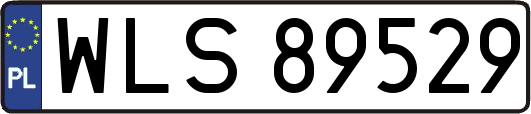 WLS89529
