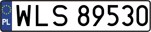 WLS89530
