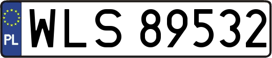 WLS89532