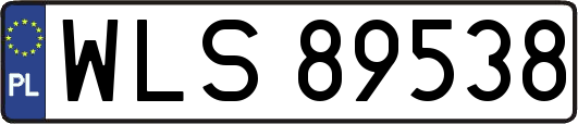 WLS89538