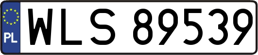 WLS89539