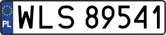 WLS89541