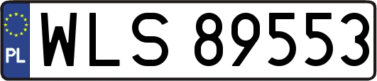 WLS89553