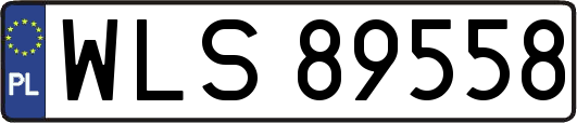 WLS89558