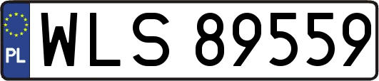 WLS89559