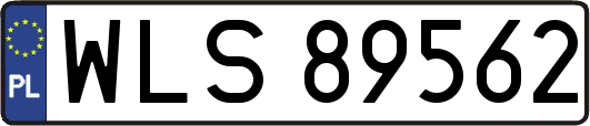WLS89562
