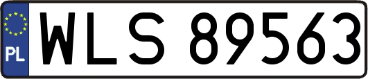 WLS89563