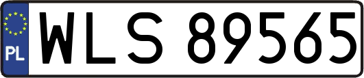 WLS89565