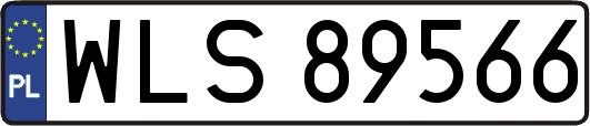 WLS89566
