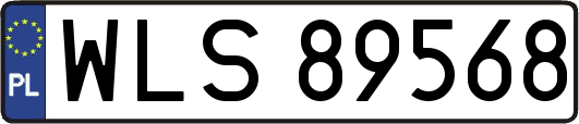 WLS89568