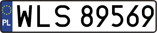 WLS89569
