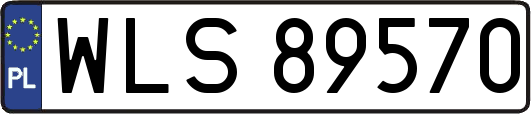 WLS89570