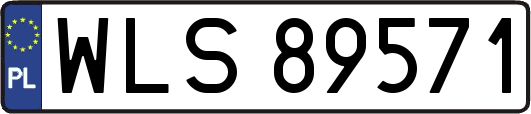 WLS89571