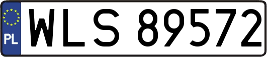WLS89572