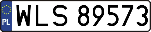 WLS89573