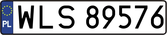 WLS89576