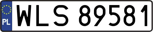 WLS89581