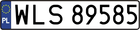 WLS89585