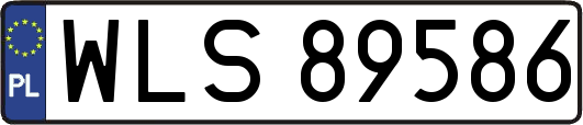 WLS89586