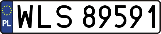WLS89591