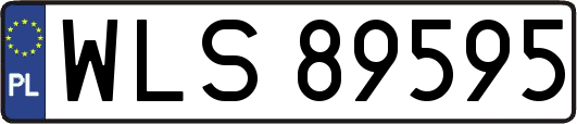 WLS89595
