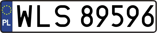 WLS89596