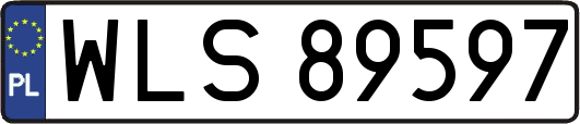 WLS89597