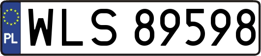 WLS89598