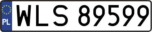 WLS89599