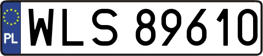 WLS89610