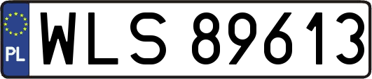 WLS89613