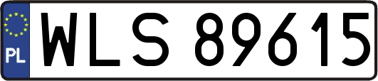 WLS89615