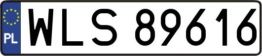 WLS89616