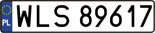 WLS89617