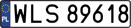 WLS89618