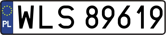 WLS89619