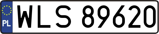 WLS89620