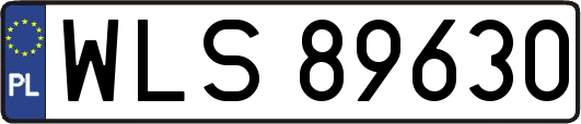 WLS89630