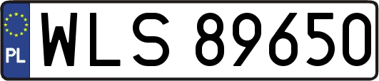WLS89650